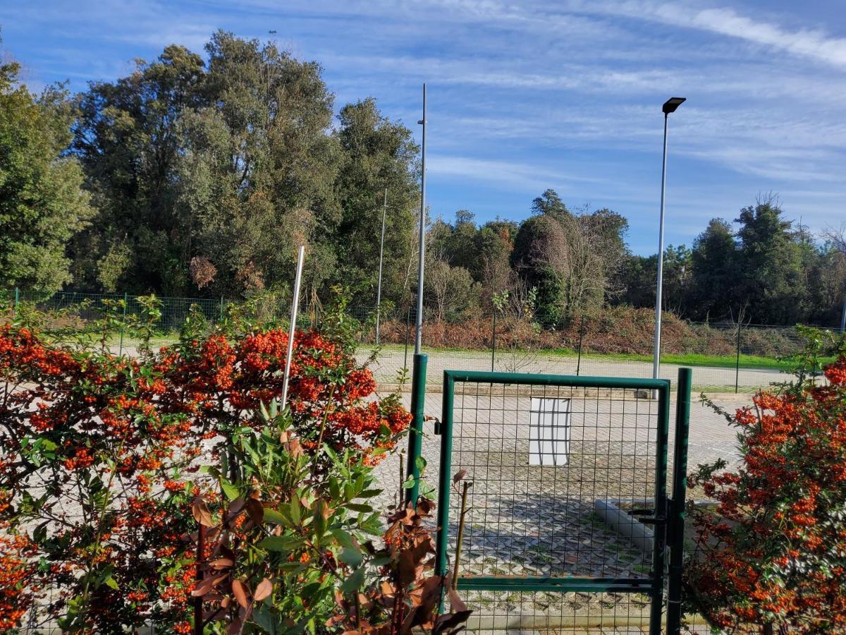 Appartamento 9 Residance Piviere Calambrone Buitenkant foto